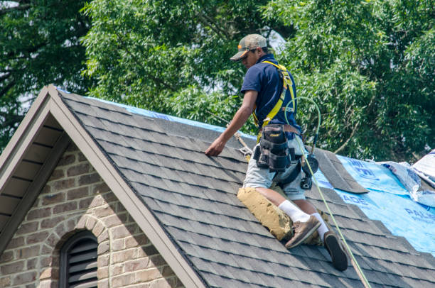 Best Storm Damage Roof Repair  in Frankston, TX